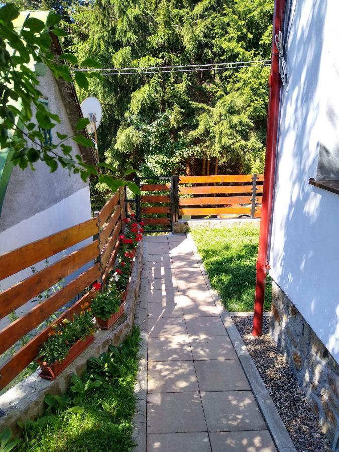 New And Comfortable Two Bedroom House 加拉纳 外观 照片